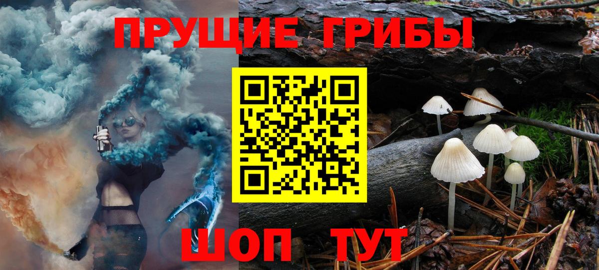 Якутск  Псилоцибиновые грибы MAGIC MUSHROOMS  Вход с VPN  Псилоцибиновые грибы Psilocybe 