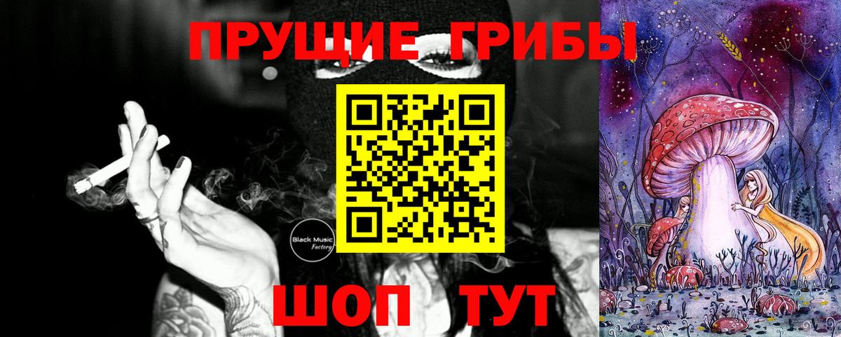 Галлюциногенные грибы Psilocybine cubensis Якутск